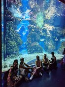 Grupo del club en un acuario